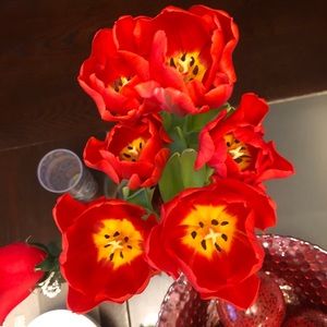 Meet your Posher, Camila